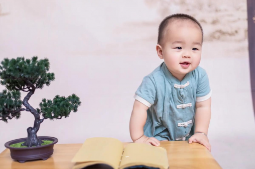 湛江可爱的企鹅宝宝